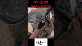 바다에서 까는 이유 Why Peeled Clams must be Washed by Sea Water ? to Wash out 100% of Sand.