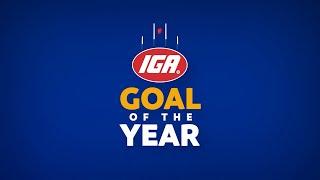 Top 5 IGA Goals for 2024