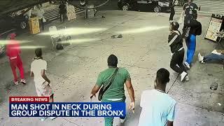 29-year-old man shot in neck during group dispute in the Bronx, police say