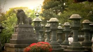 The beauty of Japan Landscape  HD