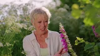 Summer Gardening with Carol KleinEpisode 1