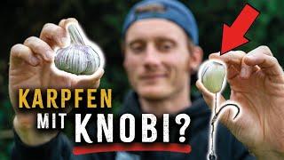 KNOBI-KARPFEN? Geht das? Knoblauch als alternativer Köder || Angeln Juni 2024 neu