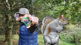 Catapult Hunting in the Forest