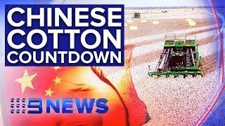 Chinese owner of controversial QLD cotton farm has just 11 days to sell | Nine News Australia