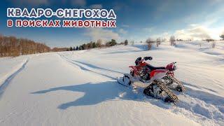 Спортивный квадроцикл на гусеницах / Фотоохота / Honda TRX400 / Tjd Gen2