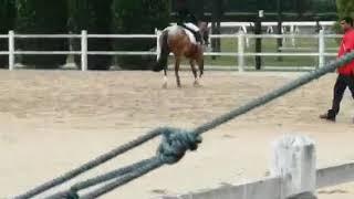 Airisa n Duke (STC Training Show 2018)