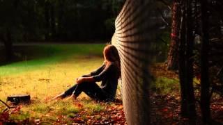 Bonobo - First Fires (Maya Jane Coles Remix)