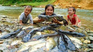 Meet a giant school of fish in the river - catch fish to sell at the market, cook with your children