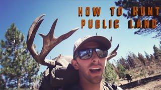 HOW TO HUNT California Deer - HUNTING TIPS, Archery and General Season || CACCIA OUTDOORS