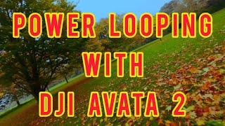 Powerloops round my local park - dji Avata 2 fpv drone flight. easy acro firmware update.