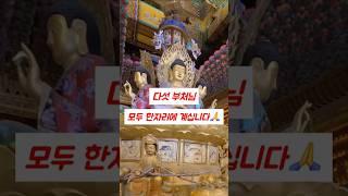 다섯 부처님 모두 계시는 오방불 석가모니불 약사여래불 비로자나불 아미타불 미륵불 사천 백천사 국내 사찰여행 나무아미타불 관세음보살 반야심경 천수경 반야심경 마하반야바라밀다심경