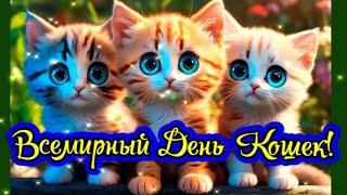 Самое красивое поздравление с Международным Днем Кошек! Cat Day! День Кошек!