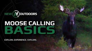 Improve your Moose Calling! | Quick Tip