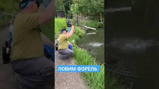 #рыбалка #рекомендации #рек #спиннинг #fishing #youtubeshorts #youtuber #troutfishing
