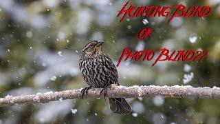 TESTING a POP-UP BLIND for WILDLIFE PHOTOGRAPHY | Ameristep Doghouse in the Backyard IN THE SNOW!