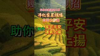 【科學的盡頭是玄學】Ep4 教你幾個凈化家居的小妙招，助你家宅平安，運氣上揚 #道家文化 #道家 #國學 #國學文化 #人生感悟