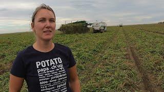 ASK A FARMER Series - Harvesting Commercial Potatoes with North Paddock Farms Ltd.