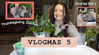 Vlogmas Day 5 | A Orchid Rehab & Thanksgiving Cactus Repot 