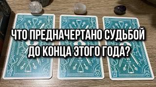 ЧТО ПРЕДНАЧЕРТАНО СУДЬБОЙ ДО КОНЦА ЭТОГО ГОДА⁉️ гадание на таро Tarot Reading