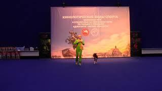 ЧРКФ 11.12.21 Мастер-Фристайл Рыбакова Александра и Бордер колли Infinity Energy
