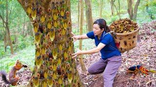 Harvesting Cicadas Overrun the Forest - Goes to the market sell - How to cook and eat Cicadas