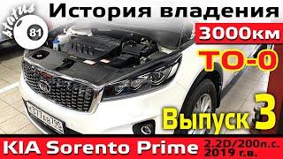 КИА Соренто Прайм (3) - ТО-0 - Расход по трассе / История владения Kia Sorento Prime