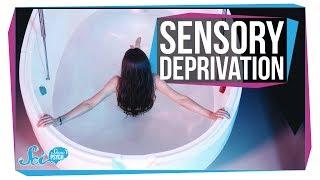 Does Sensory Deprivation Really Help You Think?