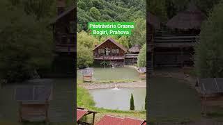 Păstrăvăria Crasna Bogiri, Prahova