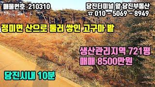 매물번호 210310 / 당진토지매매 / 정미면 산으로 둘러쌓인 고구마 밭 721평, 당진토지 매매가 8500만원 / 당진부동산