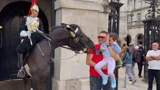 King’s Guard Saves Stupid Tourists from Ormonde’s Wrath as Public Watch in Shock