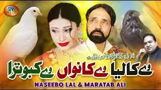 Ve Kaliya Ve Kanwan Ve Kabootra | Naseebo Lal & Maratab Ali | Super Hit Sad Song | SM Gold