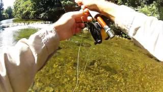 Trout - Fly fishing in Austria