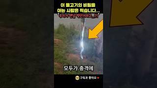 이 물고기의 비밀을 아는 사람은 적습니다..