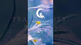 Relaxing Music & Rain: Piano Music, Sleep Music, Soothing Relaxation, "Lightness of Being" 𝄠3