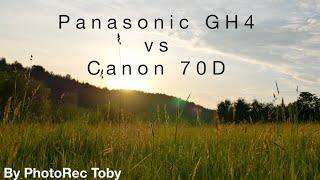 Panasonic GH4 vs Canon 70D