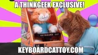 The Keyboard Cat Toy Is OUT NOW!!!