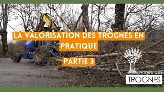 Partie 3 - Mécaniser la taille des trognes : démonstration de grappin coupeur - JNT 2021