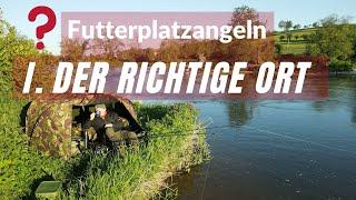 Karpfenangeln auf Futterplätzen - I. Der richtige Ort