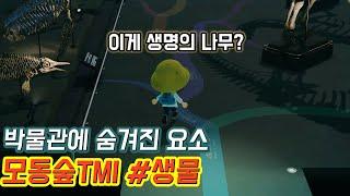 [모동숲]박물관과 생물에 숨겨진 TMI