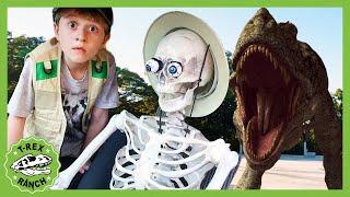 Giant T-Rex Dinosaur vs Funny Skeleton! T-Rex Ranch Dinosaur Videos