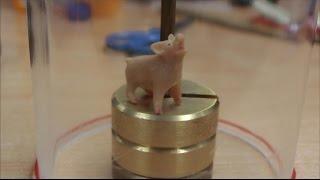 Fluid Pressure: Aquarium Pig -- xmdemo 114