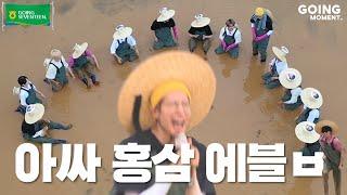 [GOING MOMENT] 세븐틴은 홍삼 게임에 꽤 진심임‍