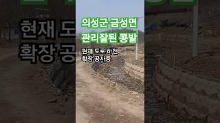 #26 금성면소재 콩밭#의성땅#경북땅#안동땅#군위땅