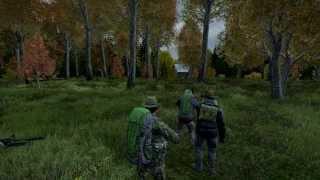 DayZ | Pointing fingers..