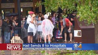 Baseball-Sized Hail Injures Zoo Visitors, Kills Two Zoo Animals