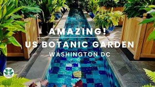 Garden Under Glass:  United States Botanic Garden!