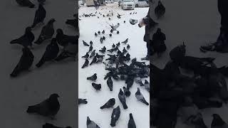 видео 2/2. мы на втором шаге онлайн тренинга "проходим кризис вместе" #психология #астрология