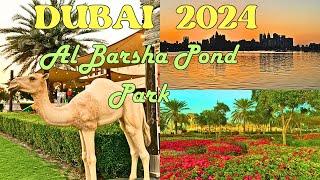 Dubai 2024 Al Barsha Pond Park