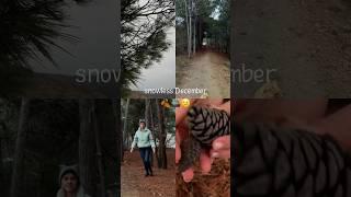 Бесснежная зима PRO Крым #природакрыма #nature #зимавкрыму #декабрь