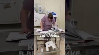 Приходите к нам работать #ветеринарнаяклиника #ветеринарныйлазарет #вакансия #краснодар #липецк